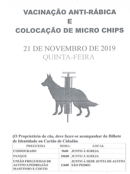 Vacinação ANTI-RÁBICA e colocação de MICRO CHIPS Vacinação ANTI-RÁBICA e colocação de MICRO CHIPS