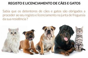 Registo e licenciamento dos animais Registo e licenciamento dos animais