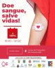 D&aacute;vida de Sangue - Atividade da CSIF do Vale do Neiva
