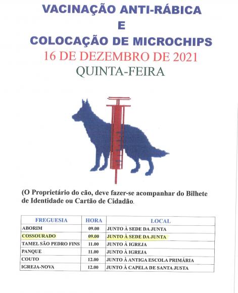 Vacinação Anti-Rábica e colocação de Microchips Vacinação Anti-Rábica e colocação de Microchips