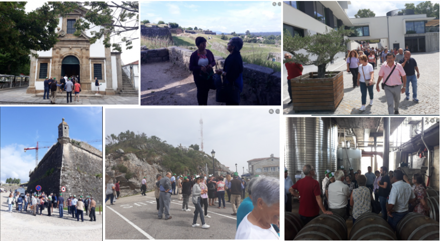 PASSEIO ANUAL DOS IDOSOS 2023 